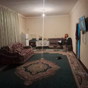 howly arenda Mary saherde