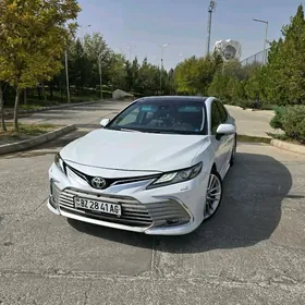 Toyota Camry 2019