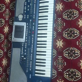 KORG pa 800