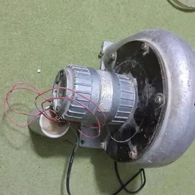 Двигатель, Dwigatel