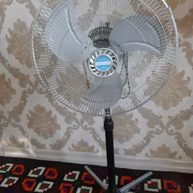 Ой харытлары