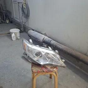 Palta camry çyra Le