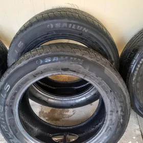 pakryska saylun atrezo carolla