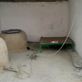 arcman sanatorya arenda pekarn