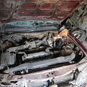 даево некция запжас