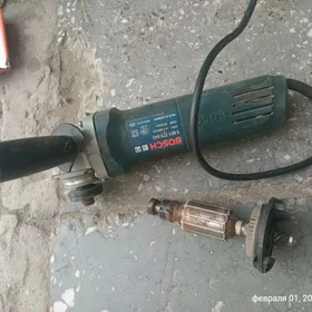 болгарка Bolgarka kici