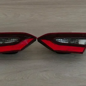 Camry Le Bagazj cyra