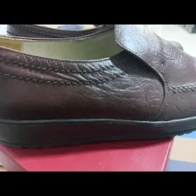 kovus.salamander.100%