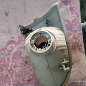 Sienna fara cep tarap