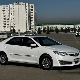 Toyota Camry 2013