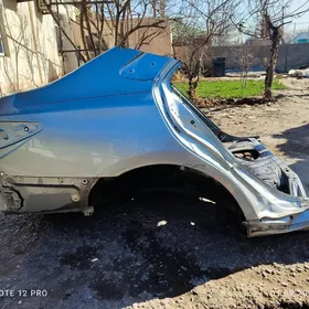 Aziada cemry yzky sag kyrlo