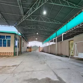 Eyesinden taze gamide howly