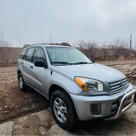 Toyota RAV4 2002