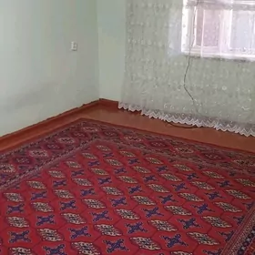 3 KOMNAT JAY ANEW GUNES