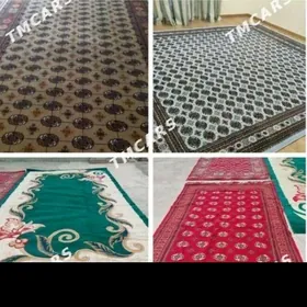 HALY PALAS SATYN ALYAS 