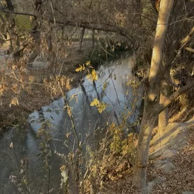 3 nji daça ýer Gökdepe