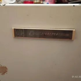 холодильник снежинка