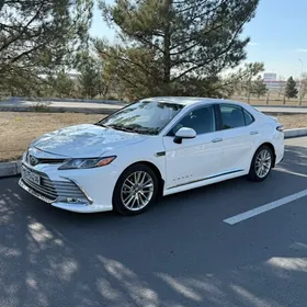 Toyota Camry 2020