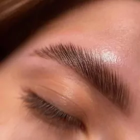 Мастер Бровист