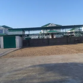 Taze zaman satlk jay