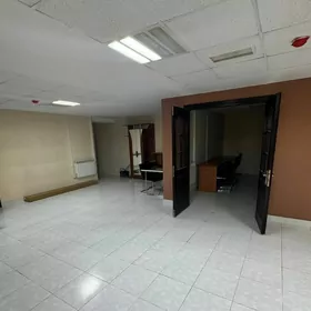 Arenda Gurtly Podwal