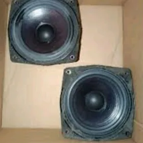 Gapy kalonkalar arginal