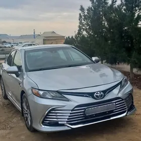 Toyota Camry 2019