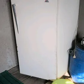 Holadilnik orsynky uly