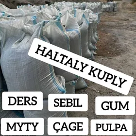 MITI PULPA GUM ÇAGE MYTY DERS