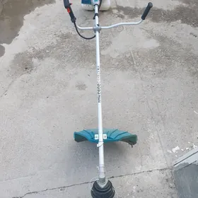 Bagban gündelik iş