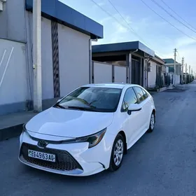 Toyota Corolla 2020