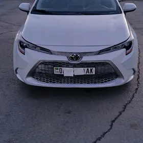 Toyota Corolla 2020