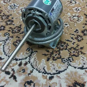 fankoil motor