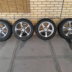 Disga pakyryṣka 17i