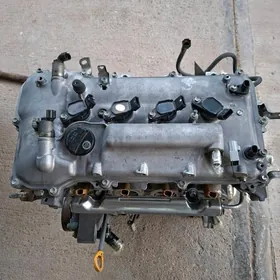 Corollo motor koropka.