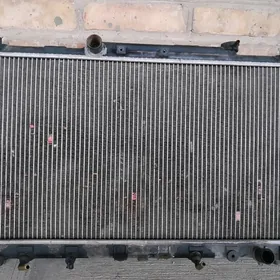 Babyçka  radiator