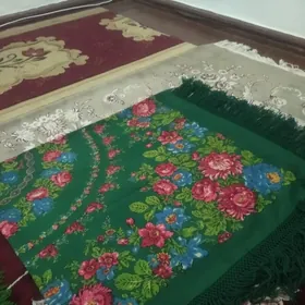 Гадым сагатбаг