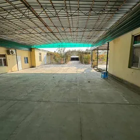 ARZAN !! ANEW MAGTYMGULY