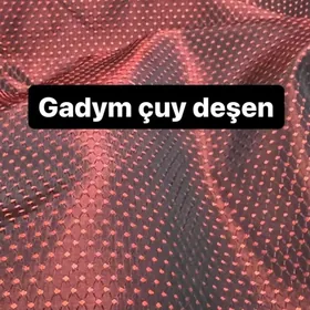 gadim cuydesen