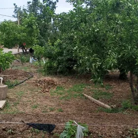 Yaslyk saherce satlyk  jay