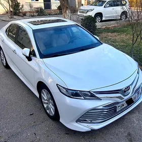 Toyota Camry 2019