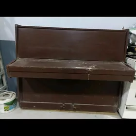 pionina пионина