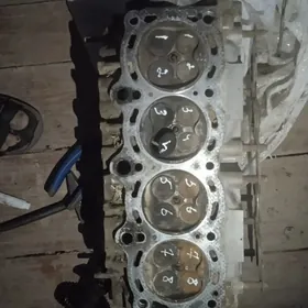 2lik galowka  karona