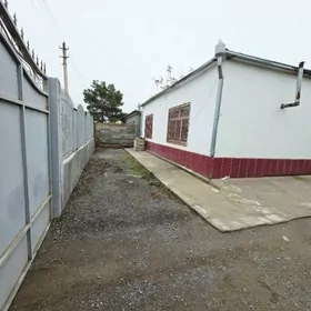 Anew Magtymguly plan