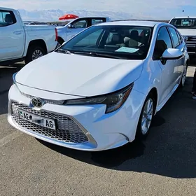 Toyota Corolla 2020