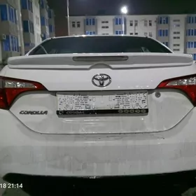 Corolla Spoiler Banan