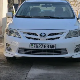 Corolla 11 12 13 Onki Faralar