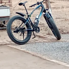 велик пока тигил