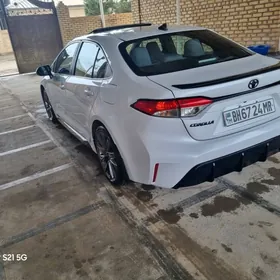 Toyota Corolla 2024