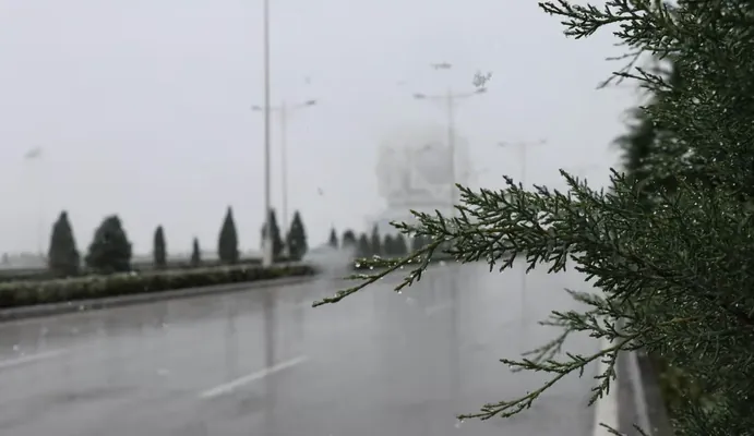 От +23 до дождя со снегом в середине недели: прогноз погоды в Туркменистане